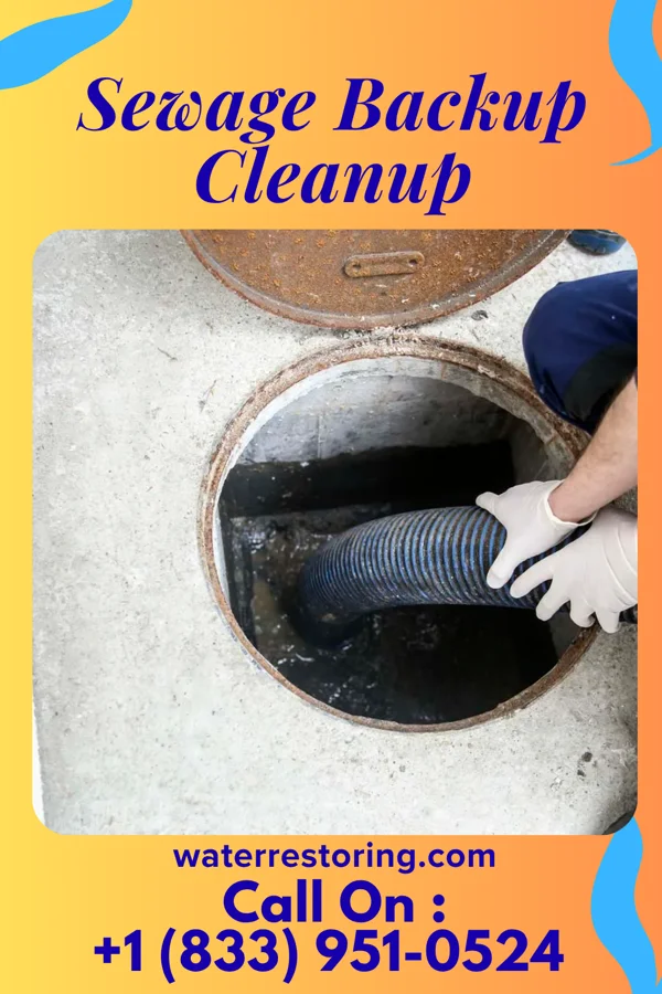 Sewage Backup Cleanup in Burns Harbor, IN