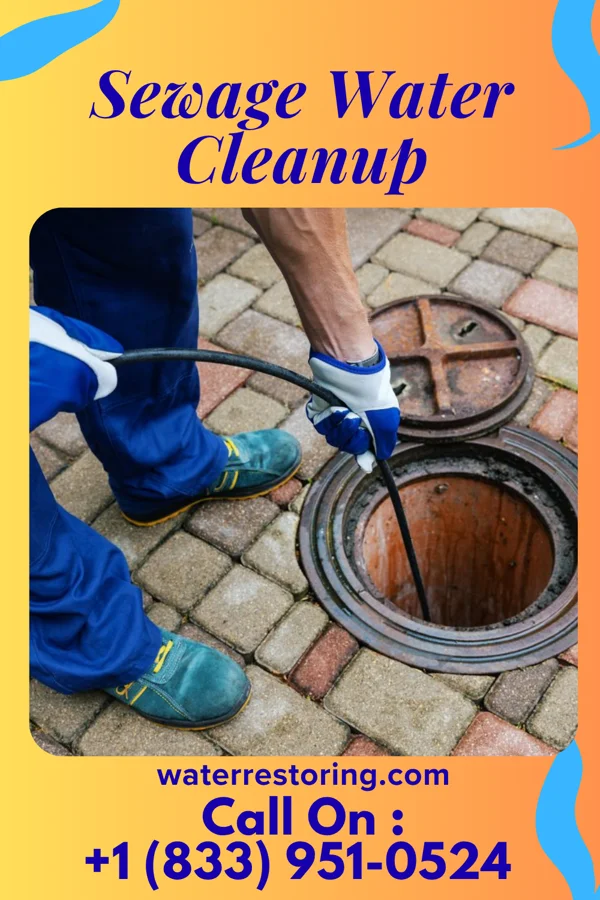 Sewage Water Cleanup in Burns Harbor, IN