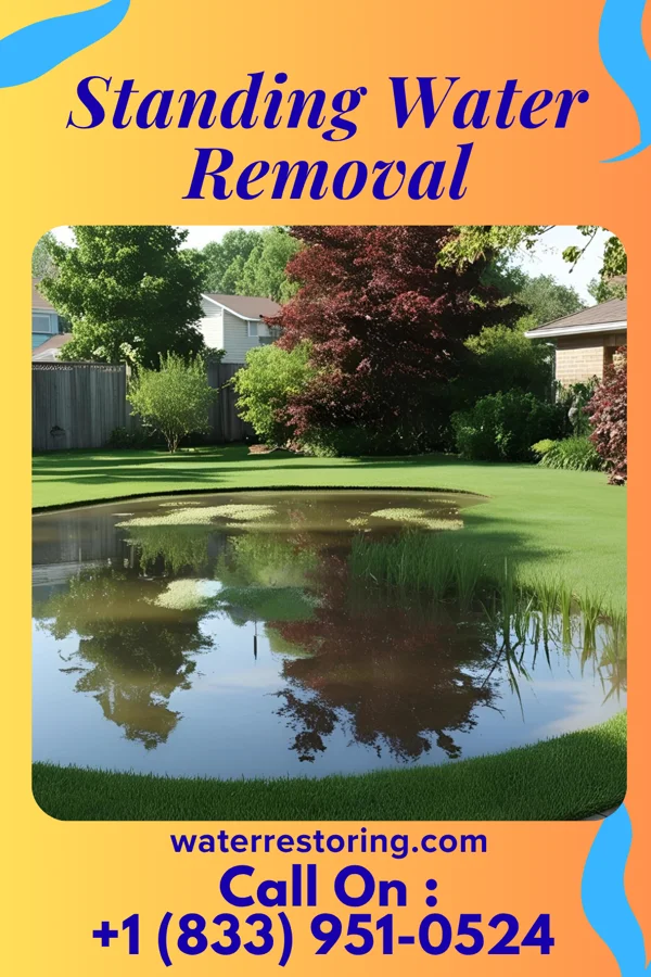 Standing Water Removal in Burns Harbor, IN